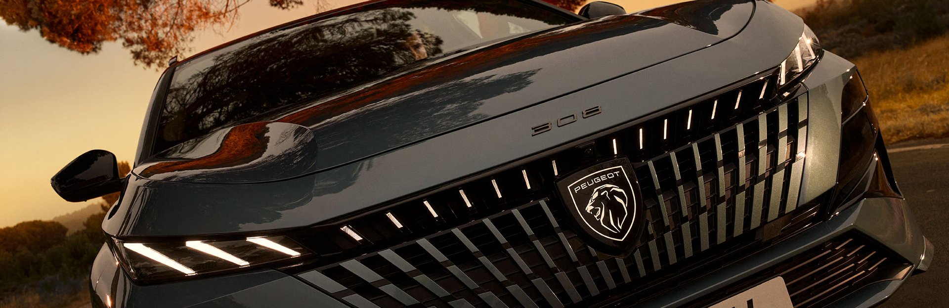 front grill of Peugeot 308 sw